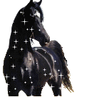cheval 0177.gif (14 ko)